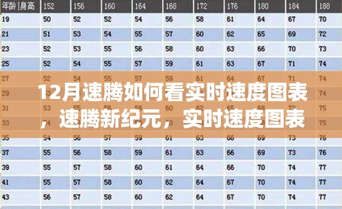 速騰新紀元，實時速度圖表科技重塑駕駛體驗解析