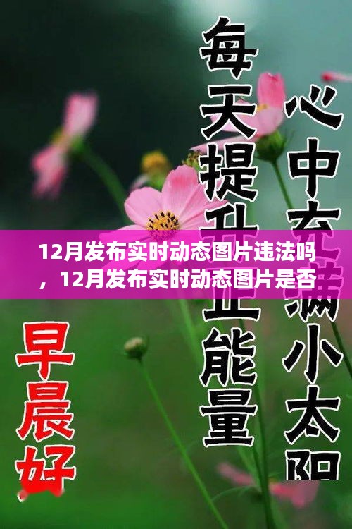 解讀，實時動態(tài)圖片發(fā)布是否違法？關(guān)于12月發(fā)布實時動態(tài)圖片的法規(guī)與案例分析