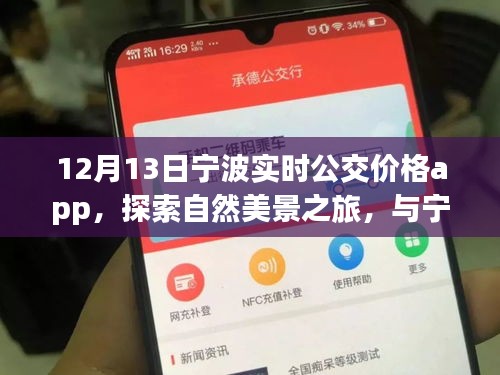 寧波實時公交價格app，探索自然美景與內(nèi)心寧靜之旅