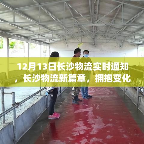 長沙物流新篇章，擁抱變化，共舞奇跡