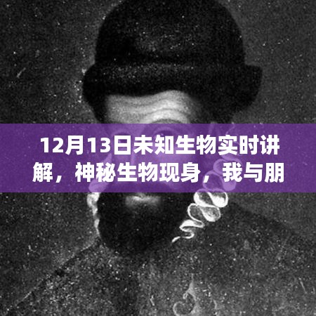 未知生物揭秘，神秘現(xiàn)身與溫馨探險(xiǎn)之旅