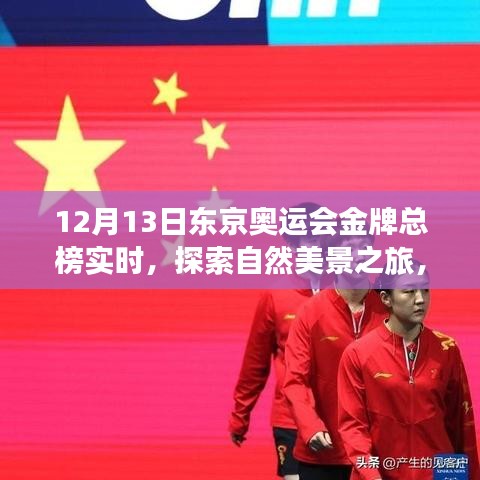 東京奧運會金牌總榜下的心靈洗禮與自我發(fā)現(xiàn)之旅，自然美景的探索之旅（實時更新）