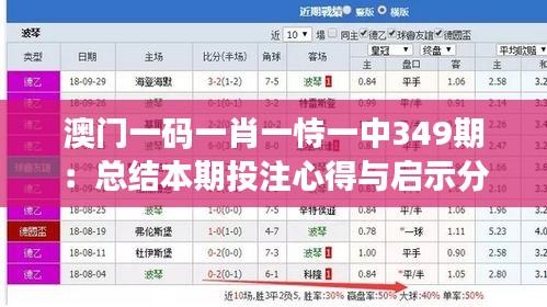 澳門一碼一肖一恃一中349期：總結本期投注心得與啟示分享