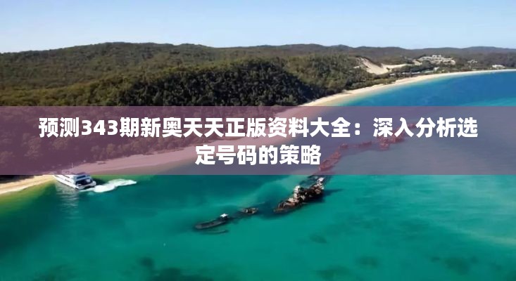 預測343期新奧天天正版資料大全：深入分析選定號碼的策略