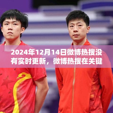 2024年12月14日微博熱搜缺失實時更新，深入評測分析