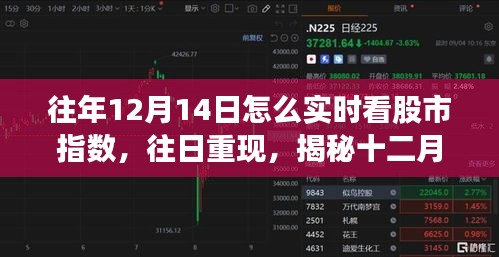 揭秘十二月十四日股市指數(shù)的實時觀察之旅，歷史數(shù)據(jù)與當日重現(xiàn)分析