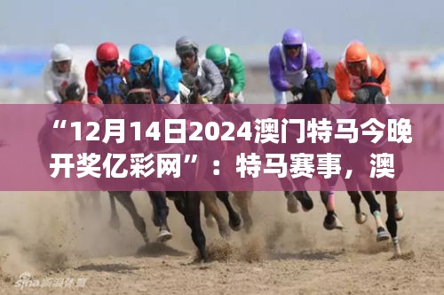 “12月14日2024澳門特馬今晚開獎(jiǎng)億彩網(wǎng)”：特馬賽事，澳門的驕傲