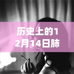 歷史上的十二月十四日，肺炎動態(tài)壁紙與動漫壁紙店的探秘之旅