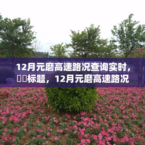 12月元磨高速路況實時更新，與自然美景共舞的心靈寧靜之旅。