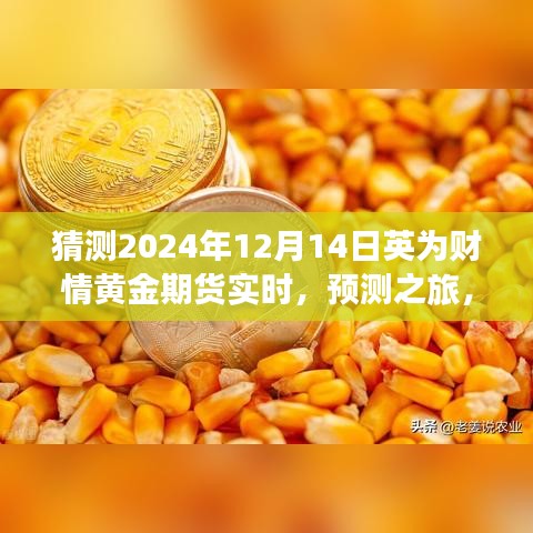 解讀英為財情黃金期貨市場展望，預(yù)測黃金期貨未來走勢，探尋黃金市場趨勢——聚焦2024年12月14日實時動態(tài)分析之旅