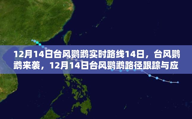 臺風(fēng)鸚鵡來襲，應(yīng)對指南與實時路徑跟蹤（初學(xué)者與進(jìn)階用戶版）