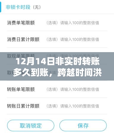 非實時轉(zhuǎn)賬的智慧，到賬時間解析與成就感的誕生