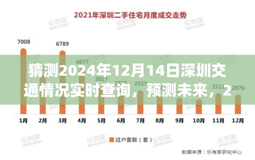 2024年12月14日深圳交通實時狀況預測與洞察