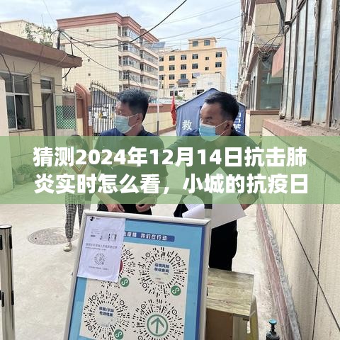 2024年12月14日小城抗疫日記，抗擊肺炎實(shí)時觀察與溫馨抗疫時光