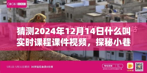 探秘實(shí)時課程課件視頻，小巷深處的寶藏與特色小店的奇妙邂逅，2024年12月14日的探索之旅