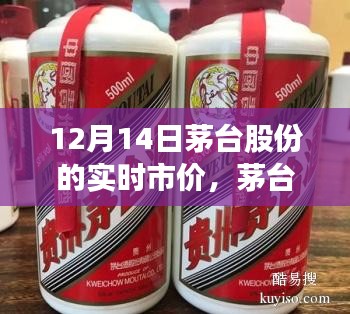 茅臺股份實時市價與心靈平和之旅，與自然美景的邂逅