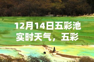 五彩池畔冬日暖陽(yáng)，12月14日實(shí)時(shí)天氣報(bào)告