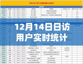 12月14日用戶實時統(tǒng)計全攻略，日訪用戶分析任務一步步完成