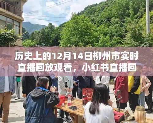 柳州市歷史時刻探尋，12月14日直播回放與值得銘記的瞬間