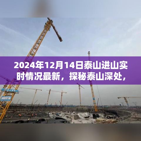 探秘泰山深處，小巷特色小店與最新進(jìn)山實時情況揭秘