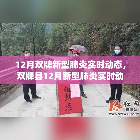 雙牌縣十二月新型肺炎實時動態(tài)概覽，背景、進(jìn)展與影響分析