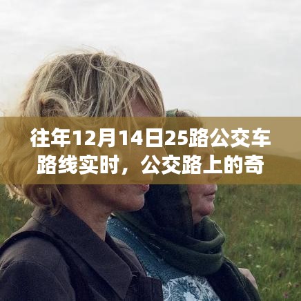 十二月十五日公交之旅，路上的奇遇與溫情紐帶紀(jì)實