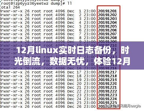 體驗Linux實時日志備份前沿科技魅力，時光倒流無憂數(shù)據(jù)保障在十二月