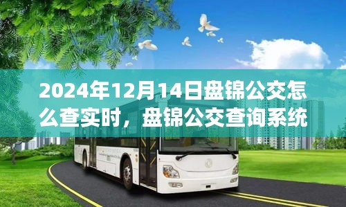 2024年盤錦公交查詢系統(tǒng)升級實時功能深度評測與指南