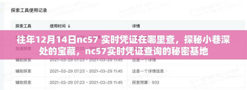探秘往年12月14日nc57實(shí)時(shí)憑證查詢的秘密基地，小巷深處的寶藏大揭秘