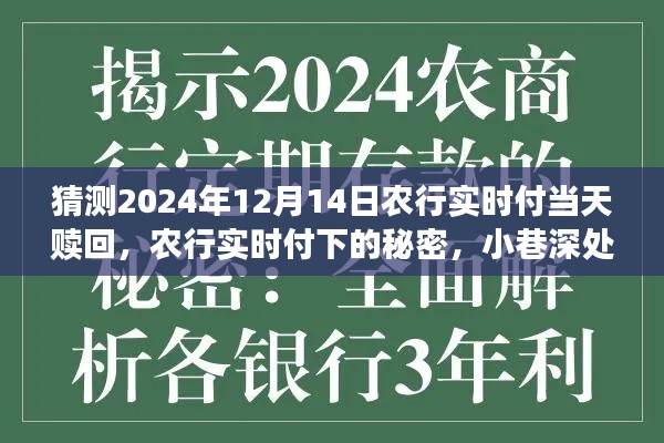 農(nóng)行實(shí)時付，揭秘特色贖回與小巷深處的秘密小店探秘