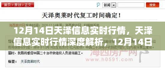 天澤信息實(shí)時(shí)行情解析，深度剖析與特殊篇章（12月14日）