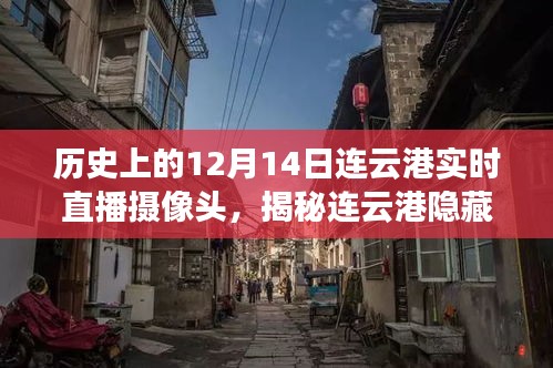 揭秘美食秘境，連云港隱藏小巷的實(shí)時(shí)直播探索之旅（附日期，12月14日）