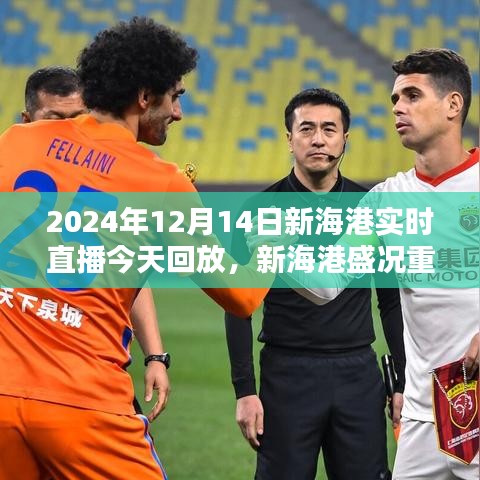 2024年12月14日新海港盛況重現(xiàn)，實(shí)時(shí)直播日回顧與回放