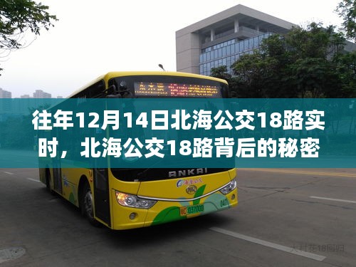 北海公交18路背后的秘密與小巷美味奇緣揭秘
