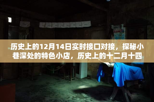探秘歷史接口對接傳奇，十二月十四日實時對接與小巷深處的特色小店揭秘