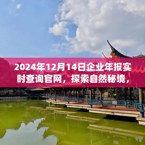 探索自然秘境，啟程尋找內(nèi)心寧靜與平和，企業(yè)年報實時查詢官網(wǎng)，開啟您的2024年報查詢之旅