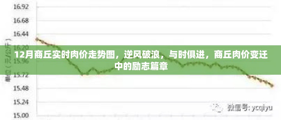 商丘肉價變遷，逆風破浪的勵志篇章與實時走勢解析