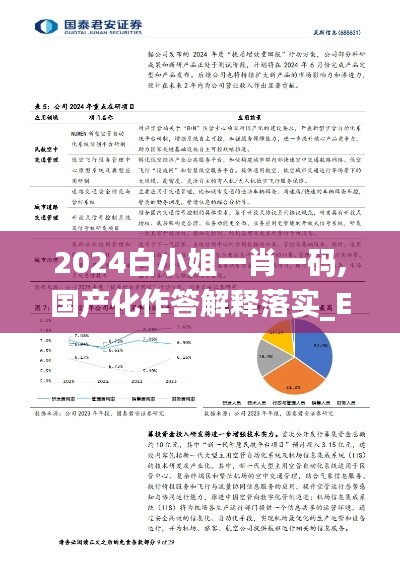 2024白小姐一肖一碼,國(guó)產(chǎn)化作答解釋落實(shí)_Elite9.945