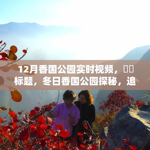 冬日香國(guó)公園實(shí)時(shí)探秘，追尋自然魔法與內(nèi)心寧?kù)o的旅程