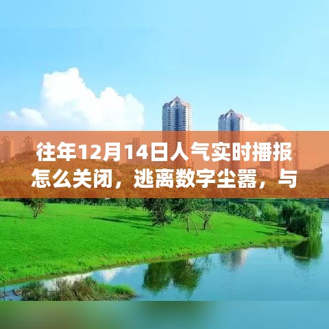如何關閉人氣實時播報，尋找自然美景之旅，逃離數字塵囂的指南