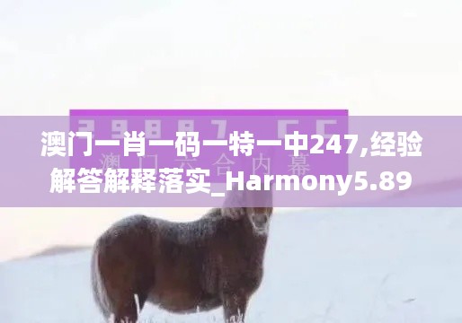 澳門一肖一碼一特一中247,經(jīng)驗(yàn)解答解釋落實(shí)_Harmony5.893