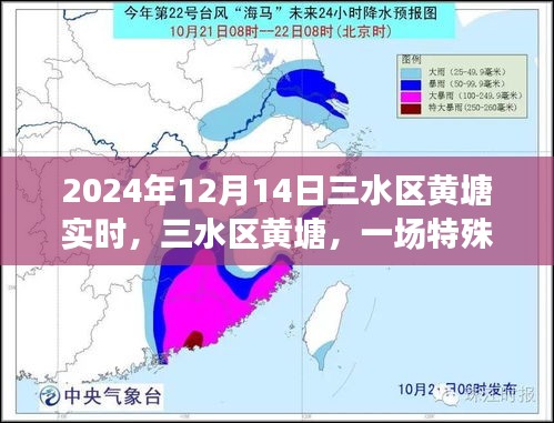 三水區(qū)黃塘，特殊時刻的回顧與記錄（2024年12月14日）