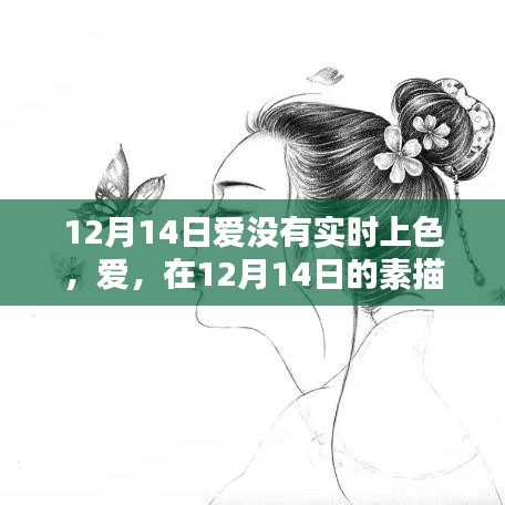 12月14日素描中的無聲之愛，悄然上色的浪漫情感
