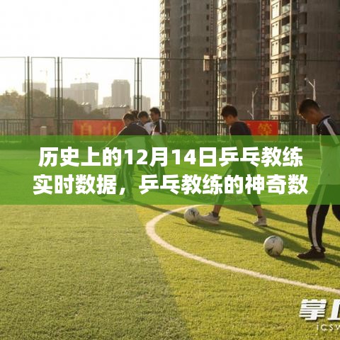 乒乓教練的神奇數(shù)據(jù)日，歷史回顧與溫馨故事