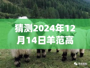 探秘羊范高速之旅，預(yù)測明日路況，啟程尋找寧靜港灣的實(shí)時(shí)路況展望（XXXX年XX月XX日）