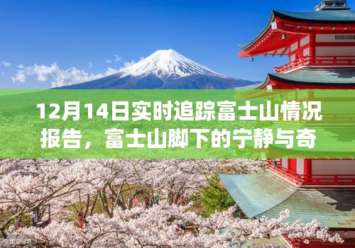 富士山實時追蹤報告，與自然共舞，探尋寧靜與奇跡的旅程