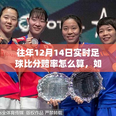 往年12月14日實(shí)時(shí)足球比分賠率詳解，計(jì)算步驟與指南