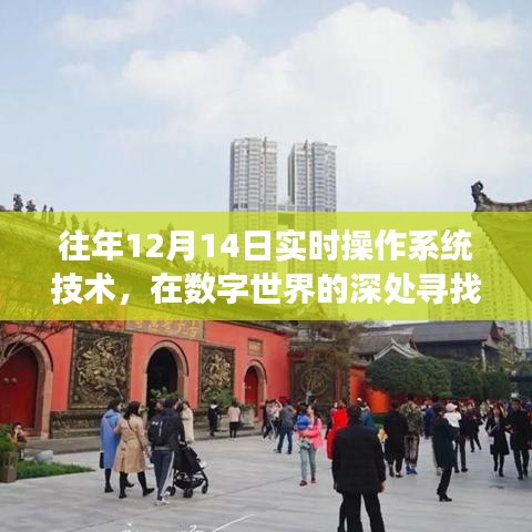數(shù)字世界的探索與內(nèi)心寧靜的追求，十二月十四日實時操作系統(tǒng)技術(shù)的自然之旅