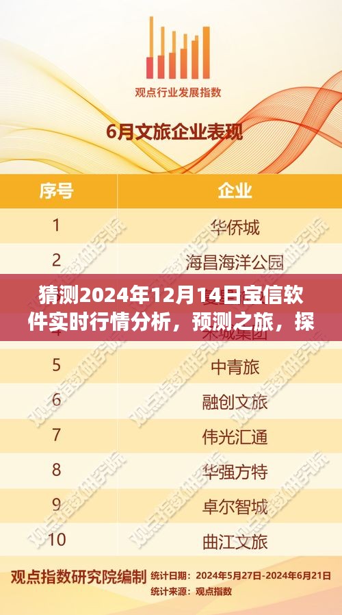 探索寶信軟件未來行情，預測之旅，分析寶信軟件在2024年12月14日的實時行情