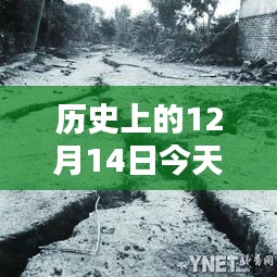 河北路況實時播報，科技引領未來，今日路況盡在掌控——歷史上的12月14日路況播報